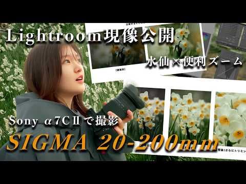 【現像大公開】Sony α7C IIとSIGMA 20-200mmで水仙を撮る