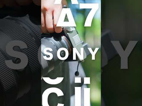 Sony α7C Ⅱが最高すぎ ！2026年最初に選ぶカメラはこれ！