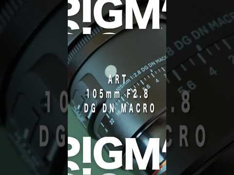 SIGMA 105mm F2.8マクロレンズの魅力 | α7CⅡにおすすめ