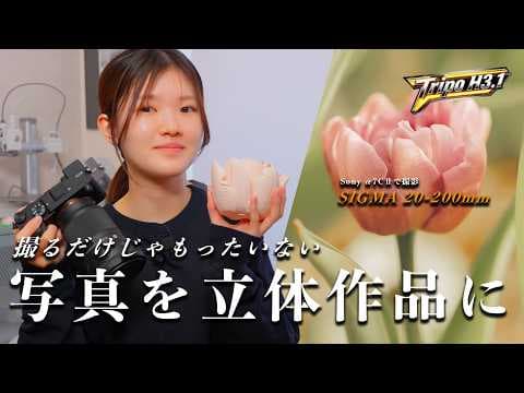 Sony α7CⅡとSIGMA 20-200mmで撮影！写真を3Dプリンターで立体作品に【Tripo AI】