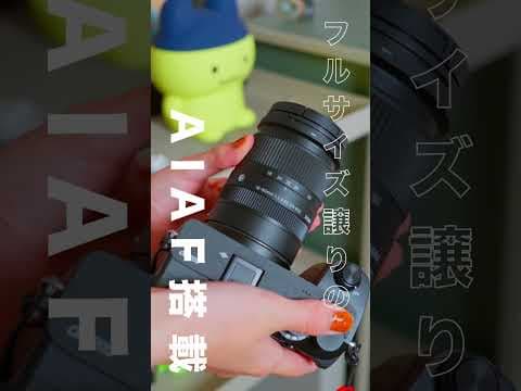 α6700の魅力！おすすめAPS-Cカメラはこれ！