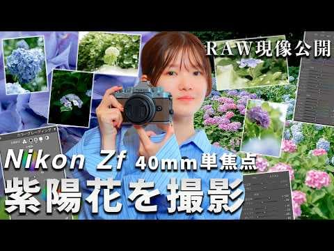 Nikon Zfと40mm単焦点で紫陽花を撮影💐RAW現像も公開