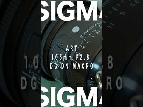 SIGMA 105mm F2.8 マクロレンズの良いところを3つご紹介！