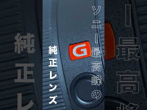 Sony α7CⅡを買ったら揃えたいレンズ3選！