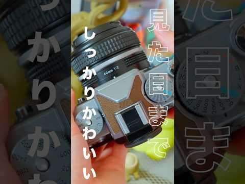 NIKKOR Z40mm の魅力！Zfとも相性ばっちり◎
